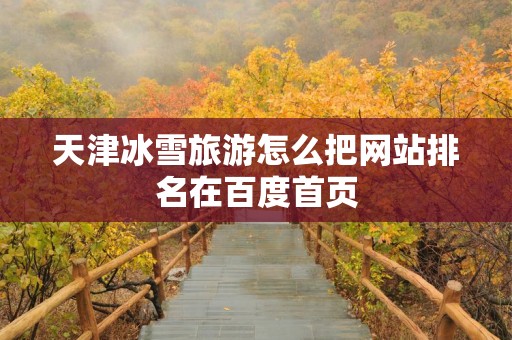 天津冰雪旅游怎么把网站排名在百度首页