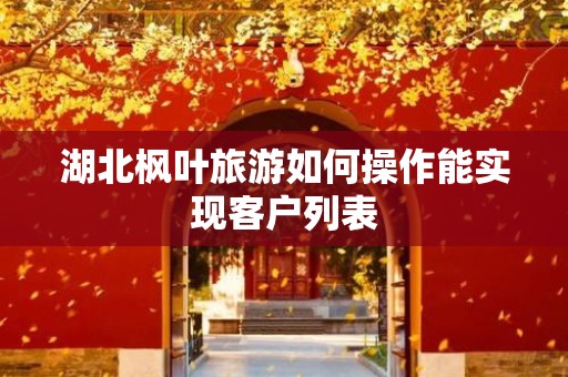 湖北枫叶旅游如何操作能实现客户列表