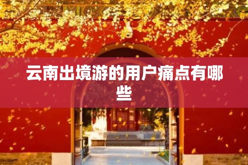 云南出境游的用户痛点有哪些