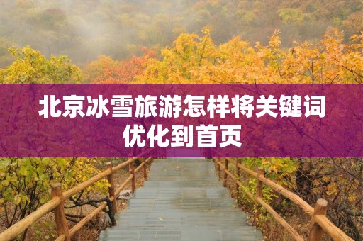 北京冰雪旅游怎样将关键词优化到首页