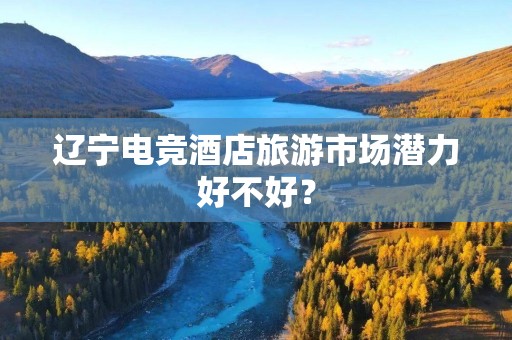 辽宁电竞酒店旅游市场潜力好不好？
