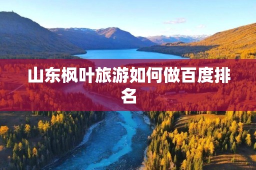 山东枫叶旅游如何做百度排名