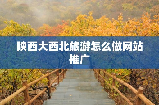 陕西大西北旅游怎么做网站推广