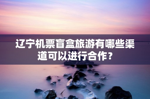 辽宁机票盲盒旅游有哪些渠道可以进行合作？
