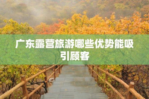 广东露营旅游哪些优势能吸引顾客