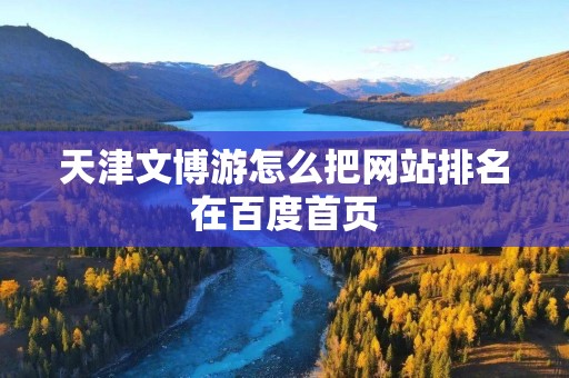 天津文博游怎么把网站排名在百度首页