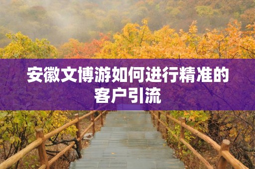 安徽文博游如何进行精准的客户引流