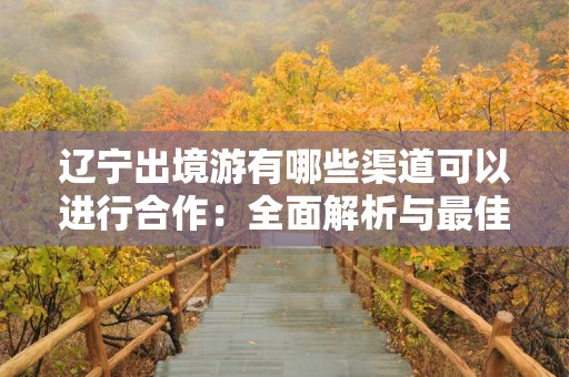辽宁出境游有哪些渠道可以进行合作：全面解析与最佳实践