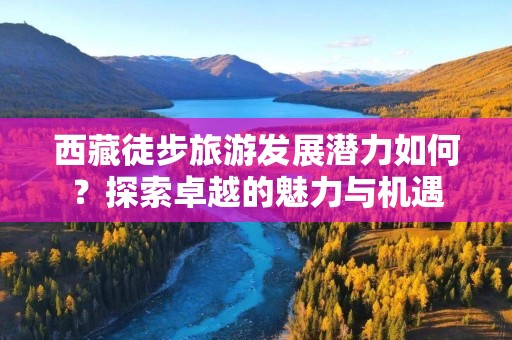 西藏徒步旅游发展潜力如何？探索卓越的魅力与机遇