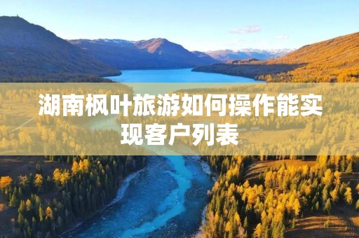 湖南枫叶旅游如何操作能实现客户列表