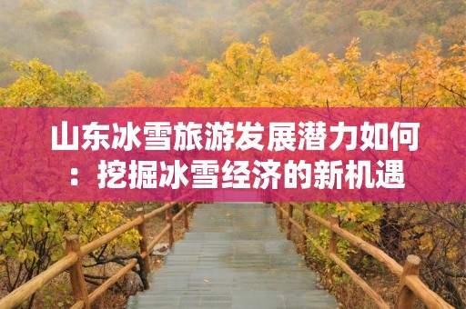 山东冰雪旅游发展潜力如何：挖掘冰雪经济的新机遇
