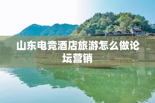 山东电竞酒店旅游怎么做论坛营销