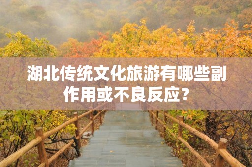 湖北传统文化旅游有哪些副作用或不良反应？