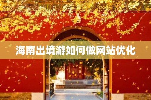 海南出境游如何做网站优化