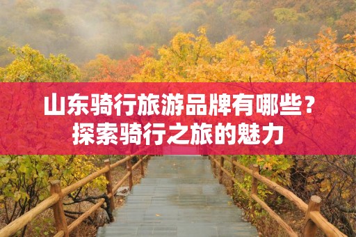 山东骑行旅游品牌有哪些？探索骑行之旅的魅力