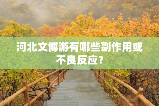 河北文博游有哪些副作用或不良反应？