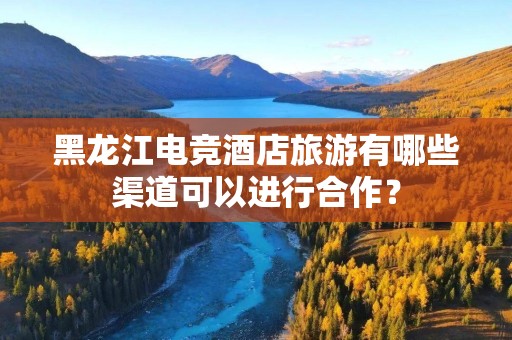 黑龙江电竞酒店旅游有哪些渠道可以进行合作？