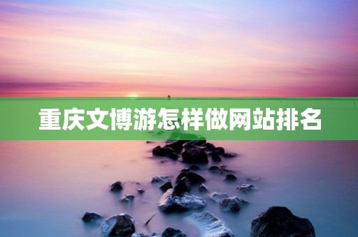 重庆文博游怎样做网站排名