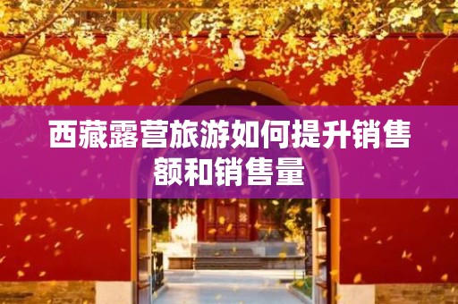 西藏露营旅游如何提升销售额和销售量