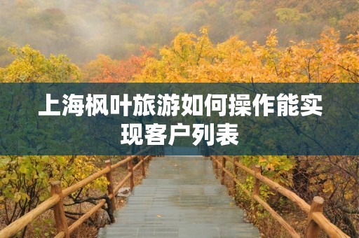 上海枫叶旅游如何操作能实现客户列表